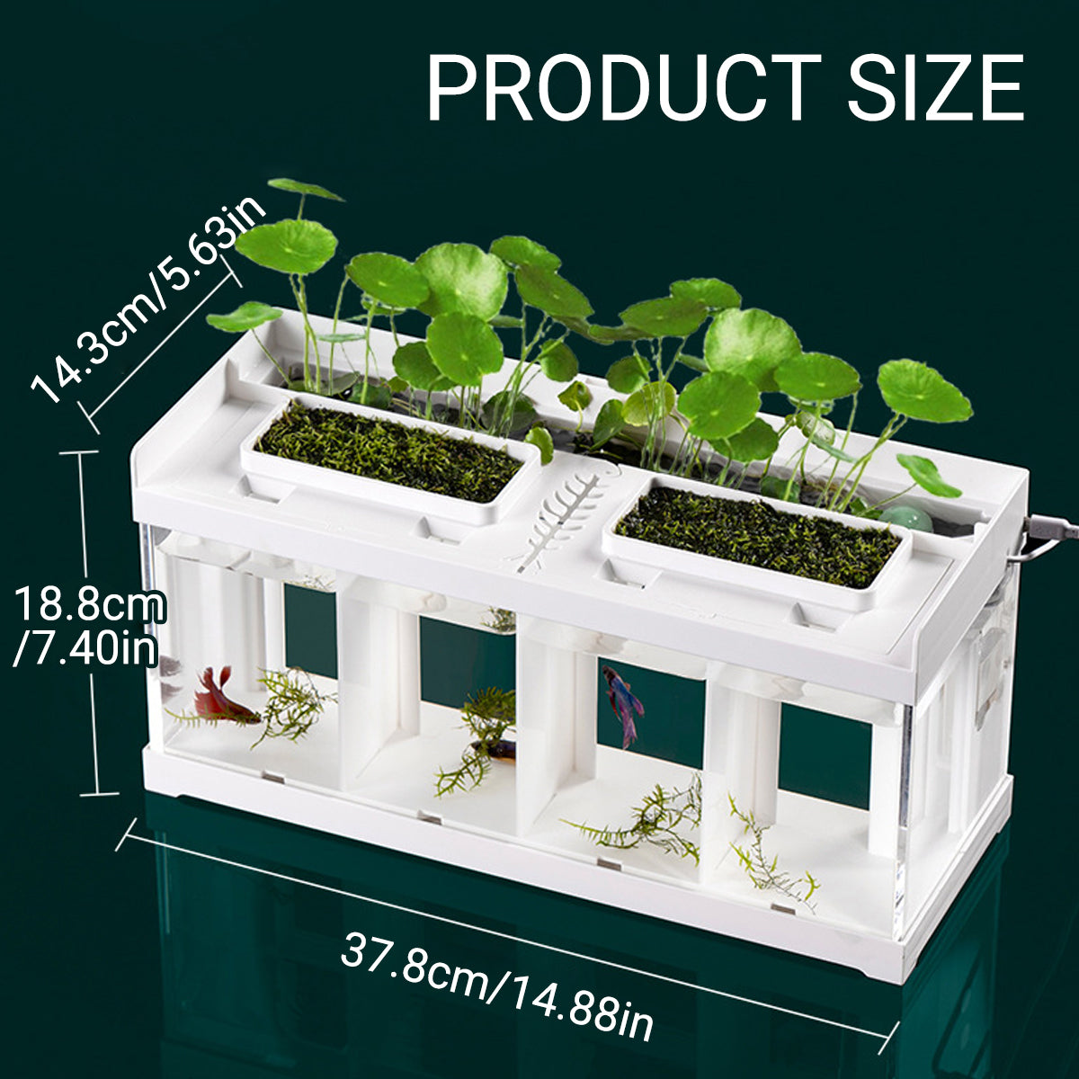 Acrylic Betta Fish Tank Four Grid Partition Clear for Desktop Home Office Decor