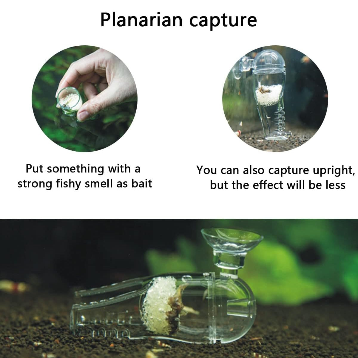 Acrylic Pants-Shape Fish Feeder 3x7.5cm Clear Durable for Aquarium Fish Tank Use