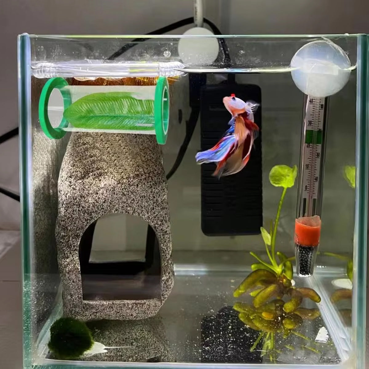 Betta Fish Suspension Tunnel Acrylic Resting Platform Decoration