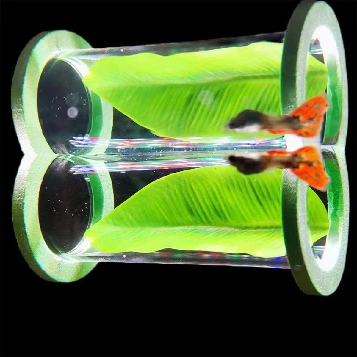 Betta Fish Suspension Tunnel Acrylic Resting Platform Decoration