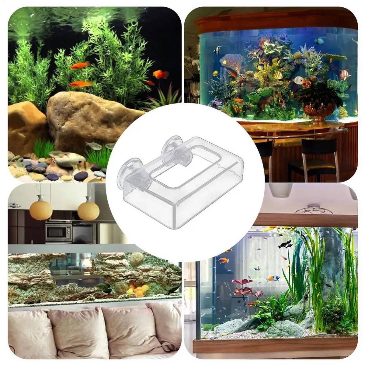 Red aquarium feeding cup with floating ring and suction cup – product view 11
