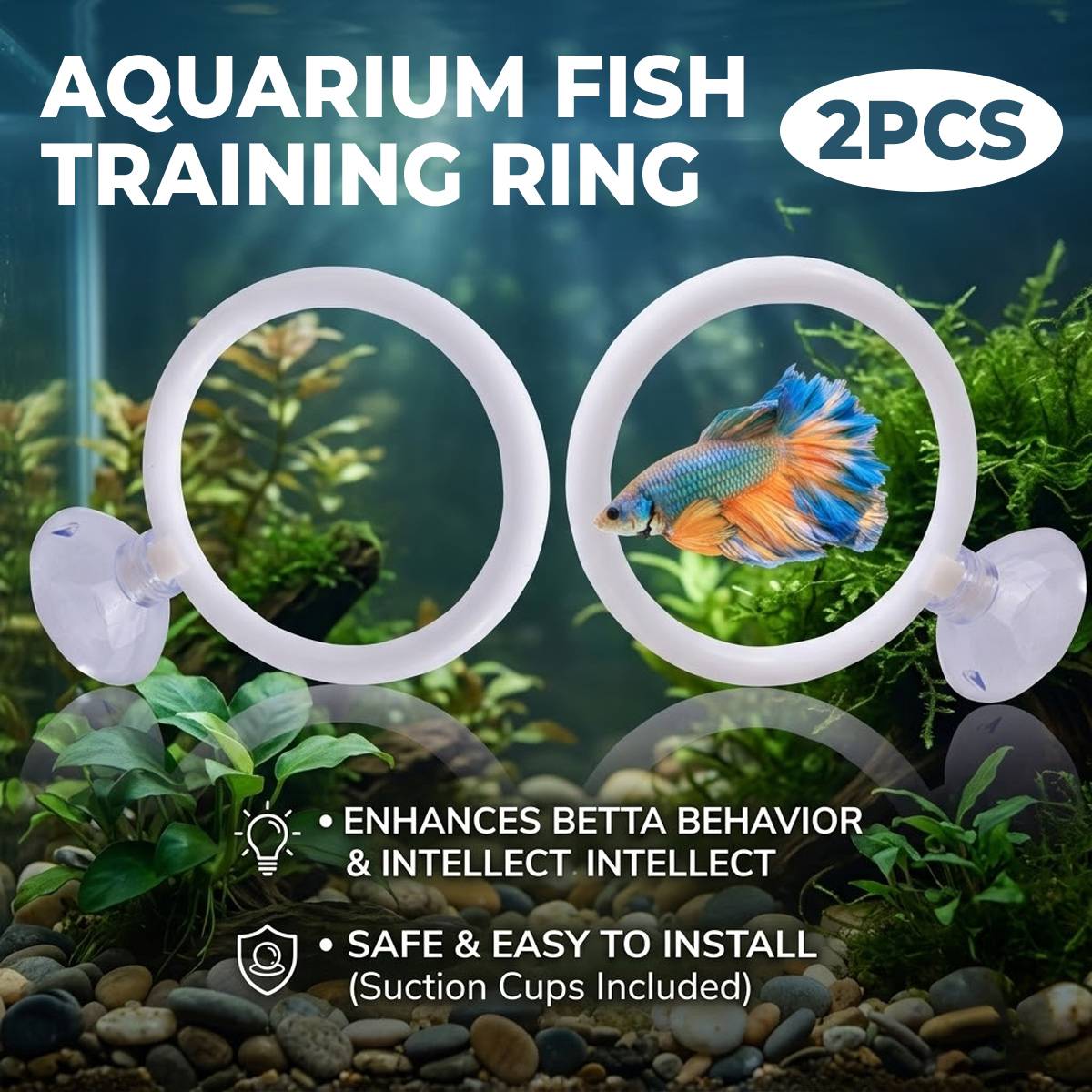 Aquarium Fish Training Ring Set (2PCS)