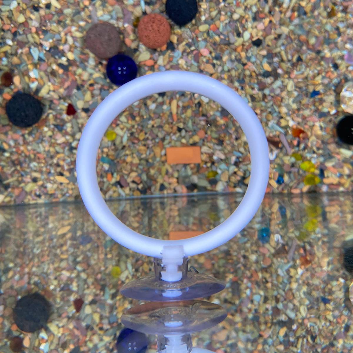 Aquarium Fish Training Ring Set (2PCS)