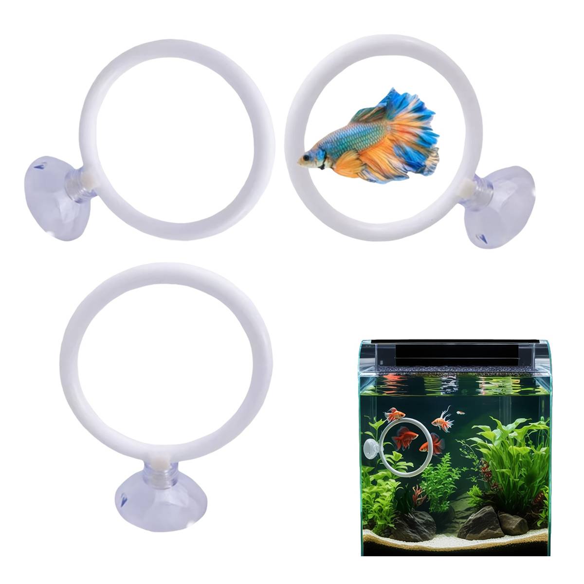 Aquarium Fish Training Ring Set (2PCS)