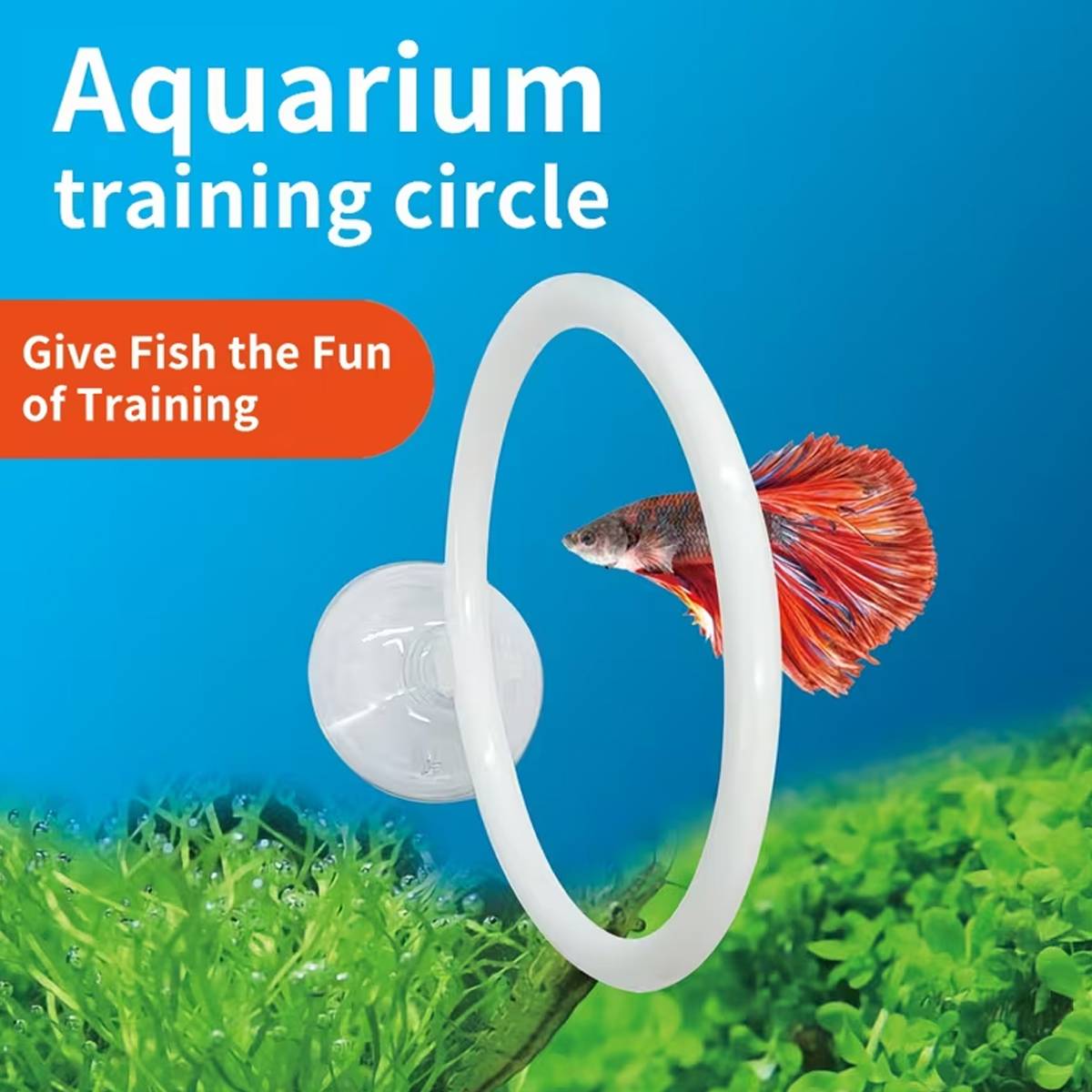 Aquarium Fish Training Ring Set (2PCS)