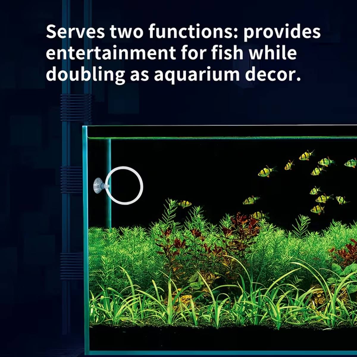 Aquarium Fish Training Ring Set (2PCS)