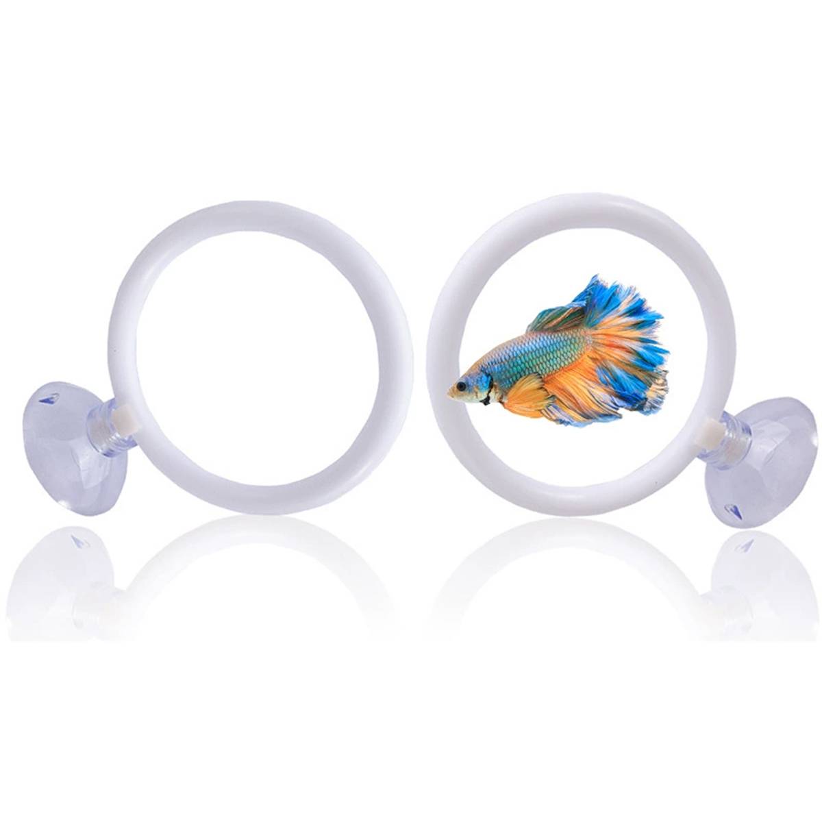 Aquarium Fish Training Ring Set (2PCS)