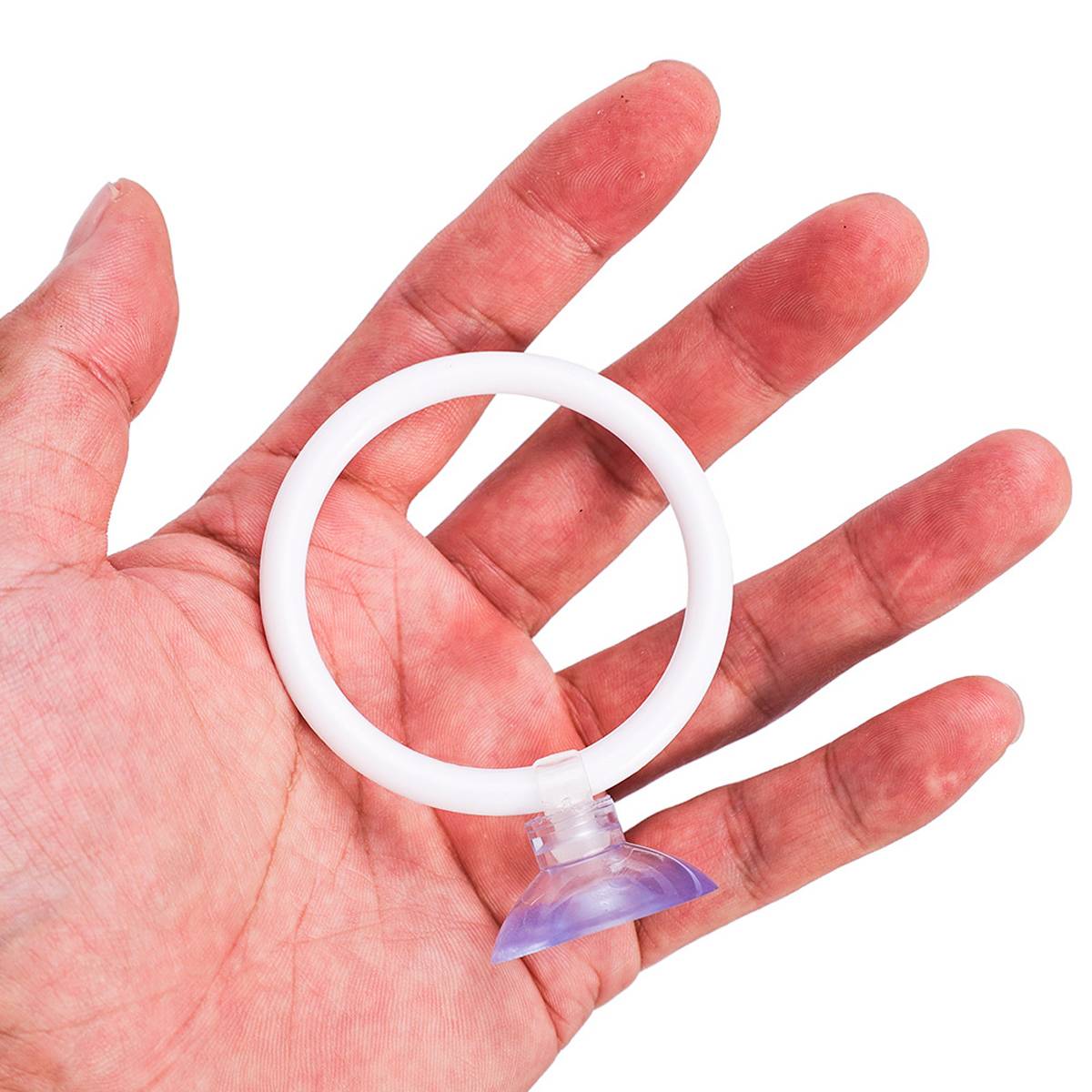 Aquarium Fish Training Ring Set (2PCS)
