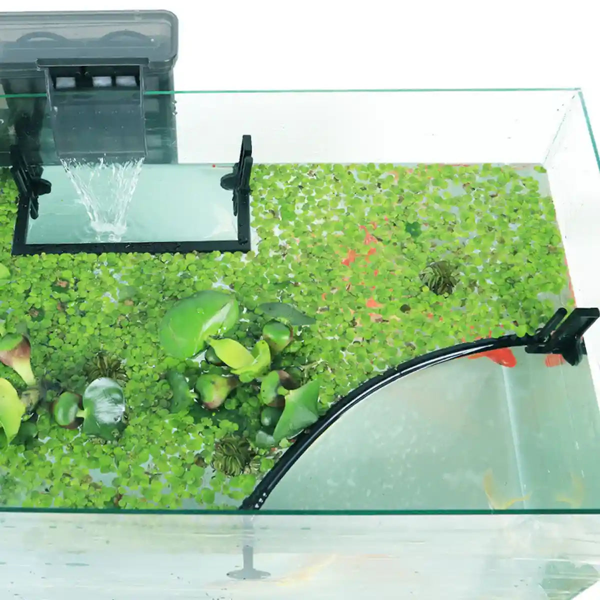 Adjustable Aquarium Floating Plant Corral Duckweed Divider Fence