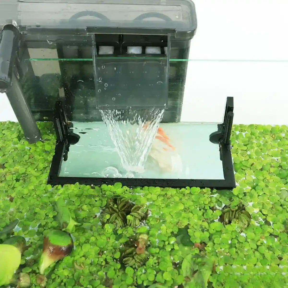 Adjustable Aquarium Floating Plant Corral Duckweed Divider Fence