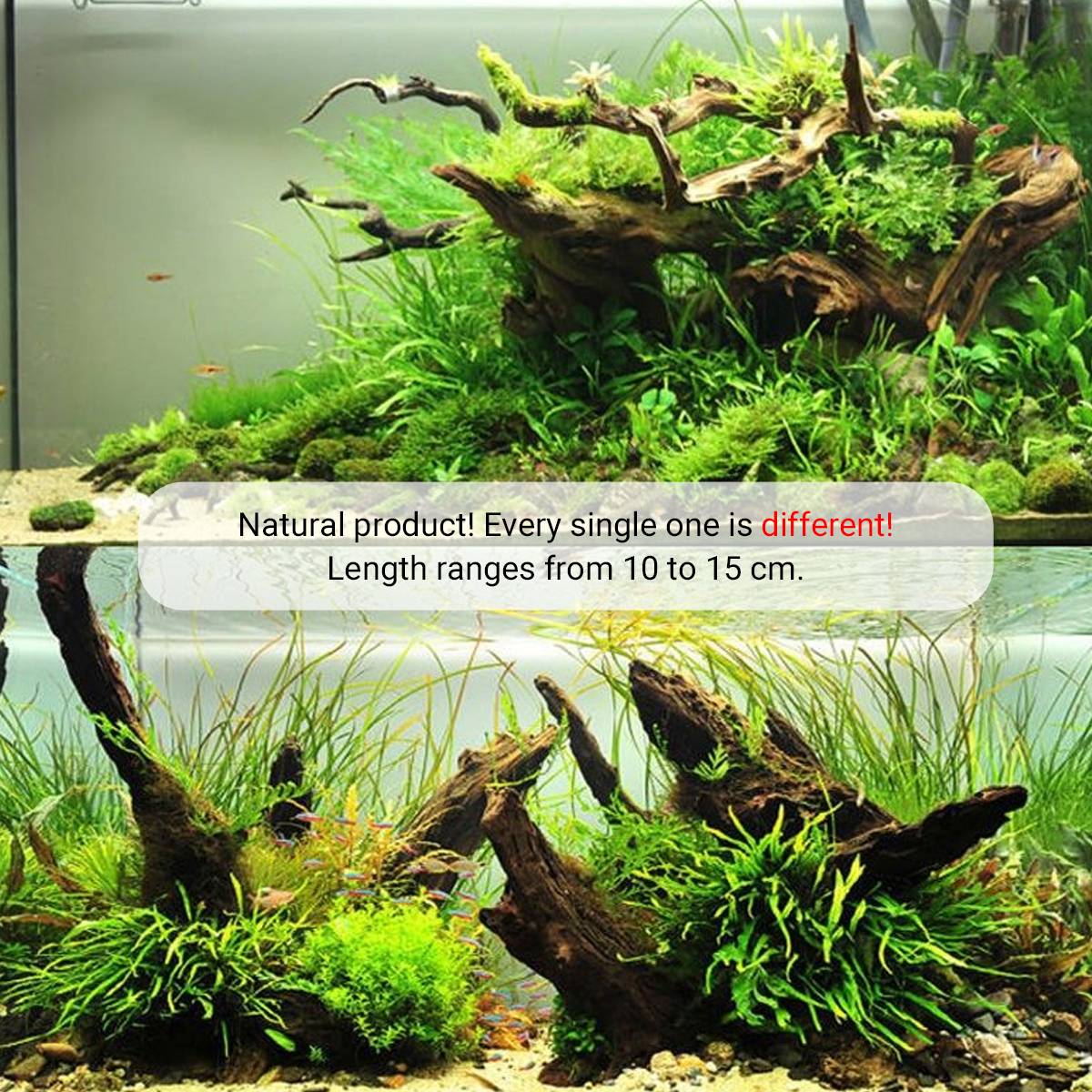 Aquarium Driftwood Natural Wood Ornament