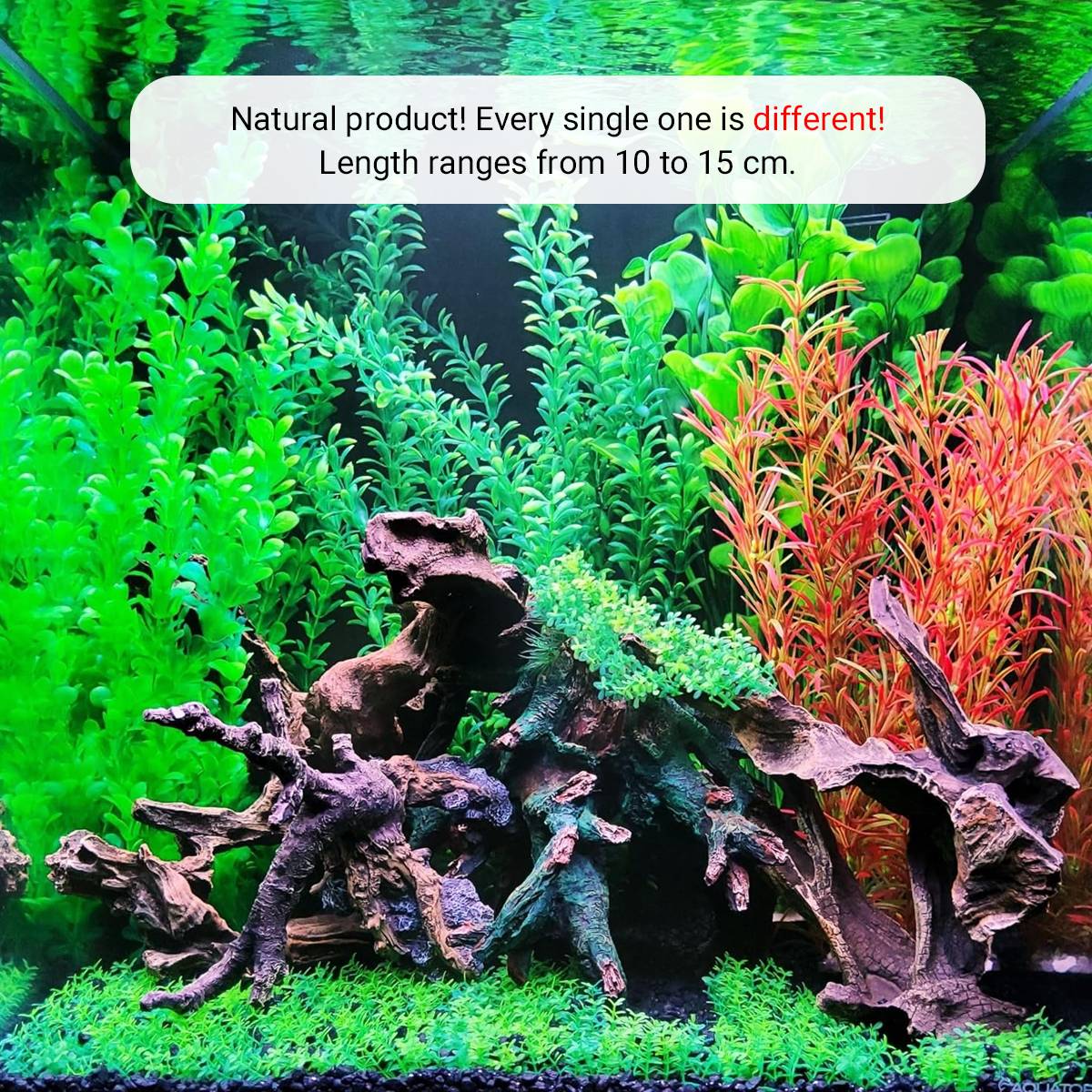 Natural Aquarium Driftwood Ornament For Fish Tank