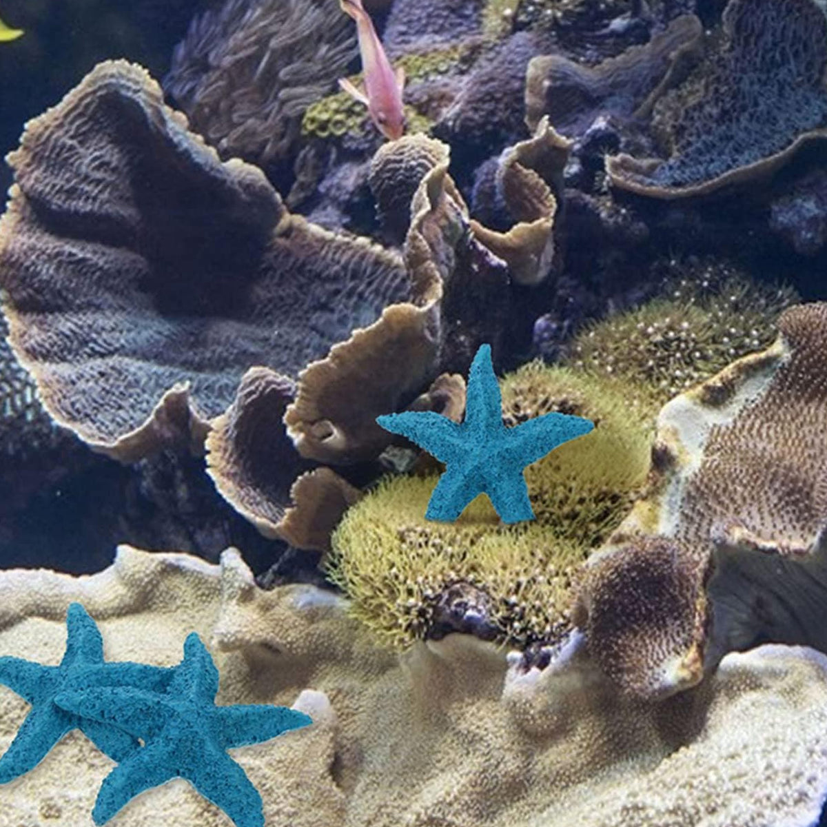 Aquarium Resin Starfish Decoration Set Of 4
