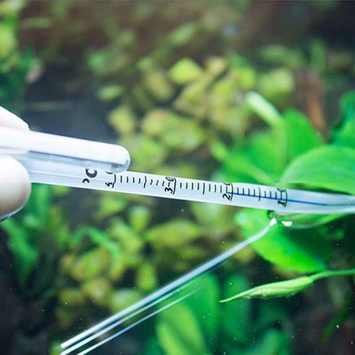 Stick-on LCD aquarium thermometer strip – product view 12