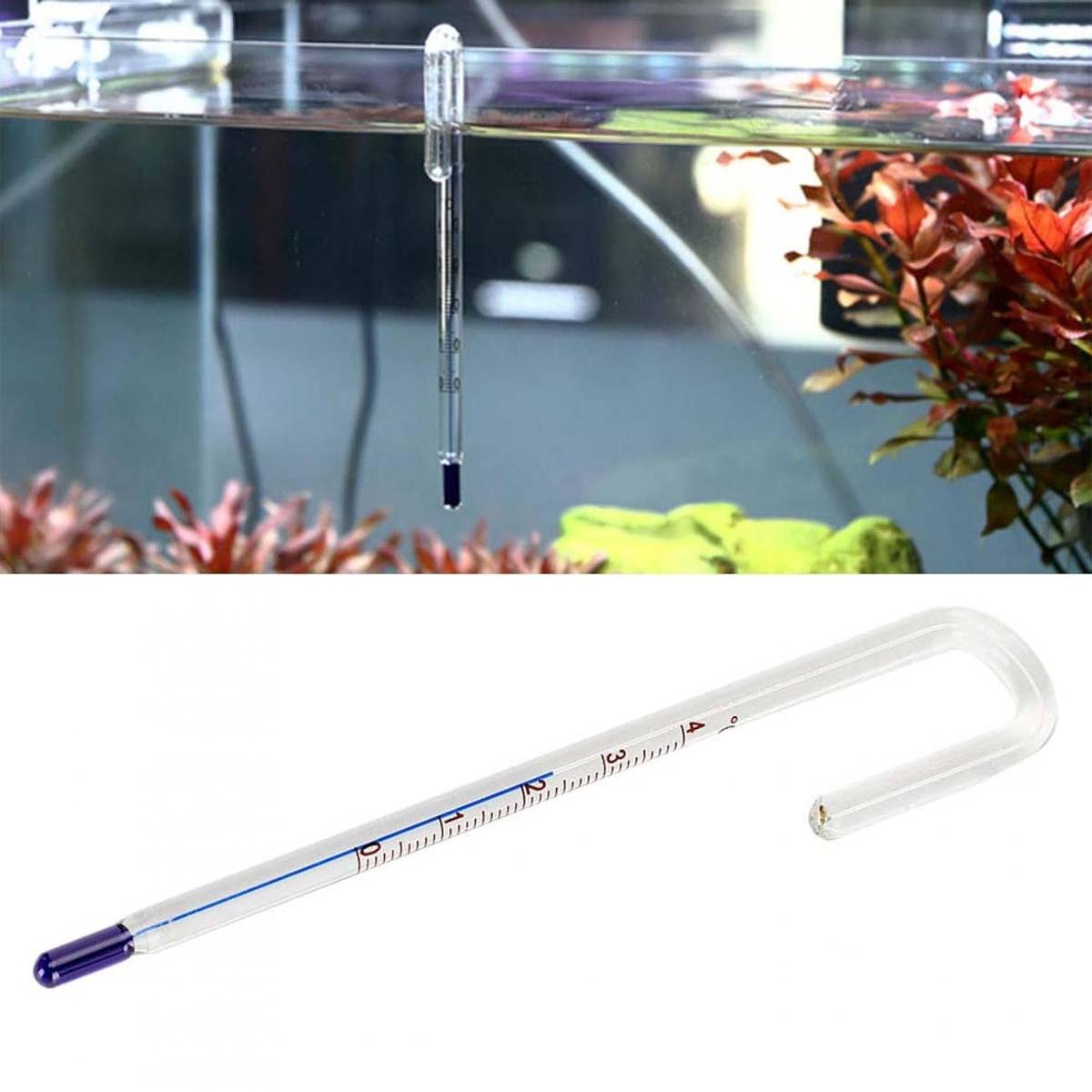 Stick-on LCD aquarium thermometer strip – product view 5