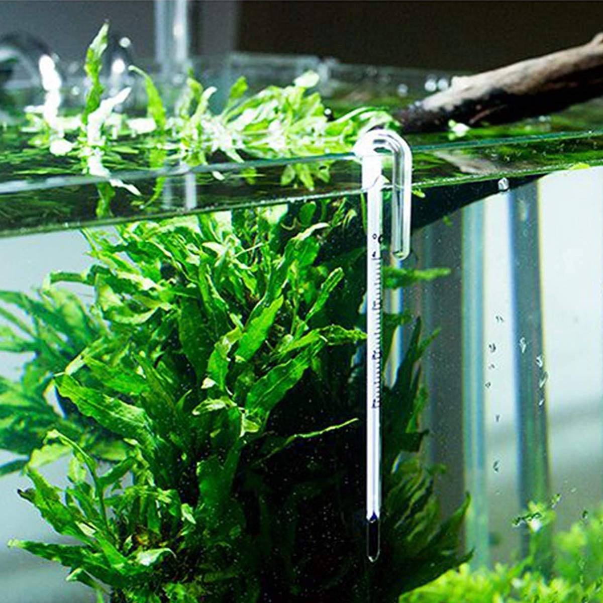 Stick-on LCD aquarium thermometer strip – product view 9