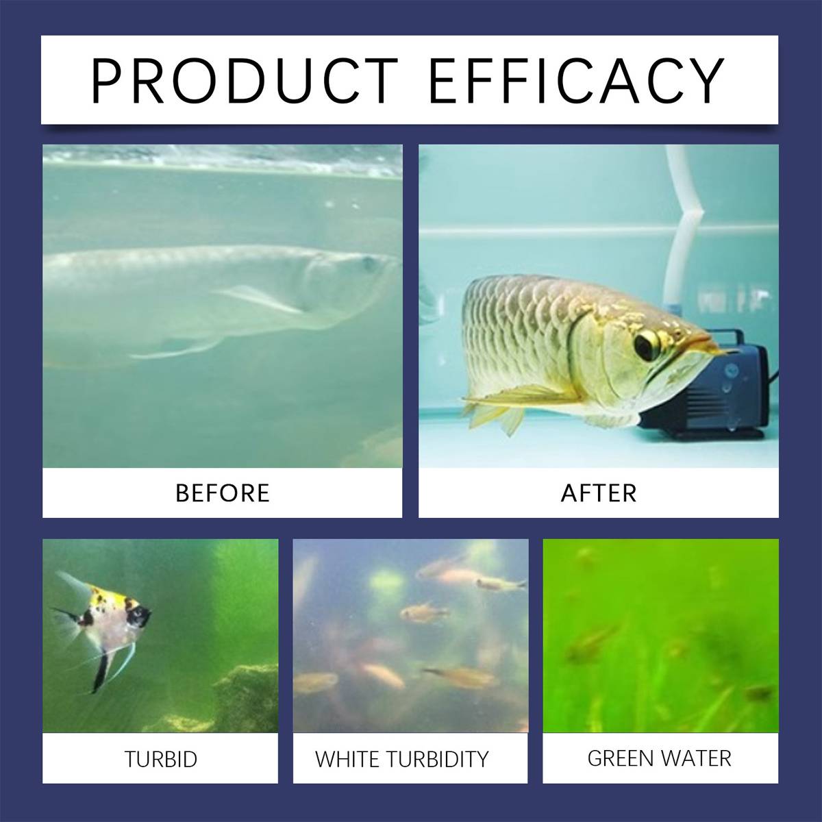 Aquarium water clarifier capsules for cloudy freshwater tanks – product view 14