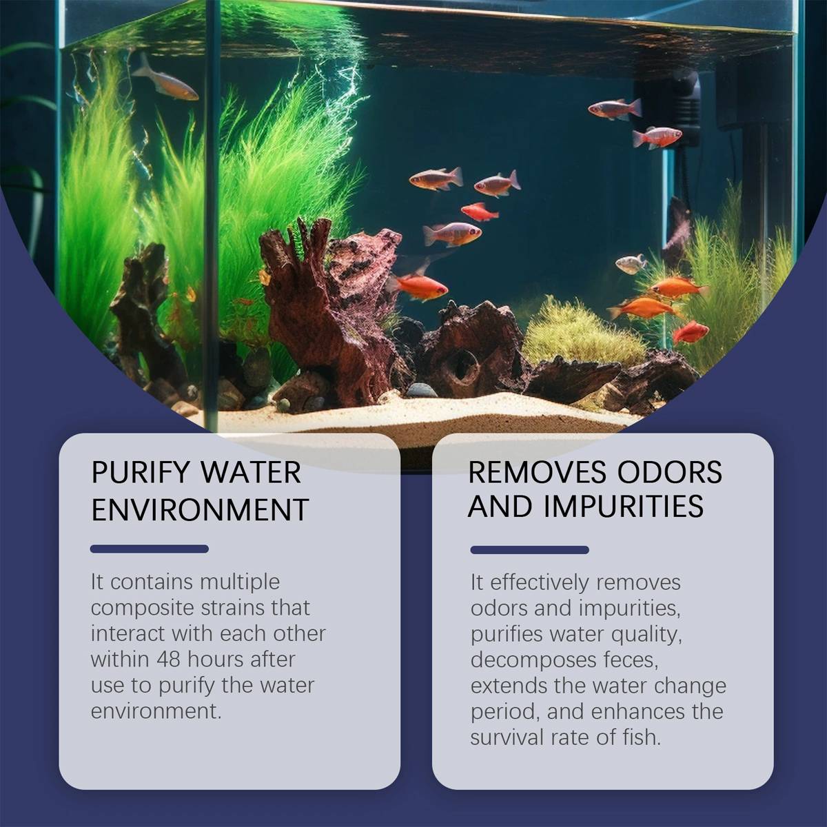 Aquarium water clarifier capsules for cloudy freshwater tanks – product view 5