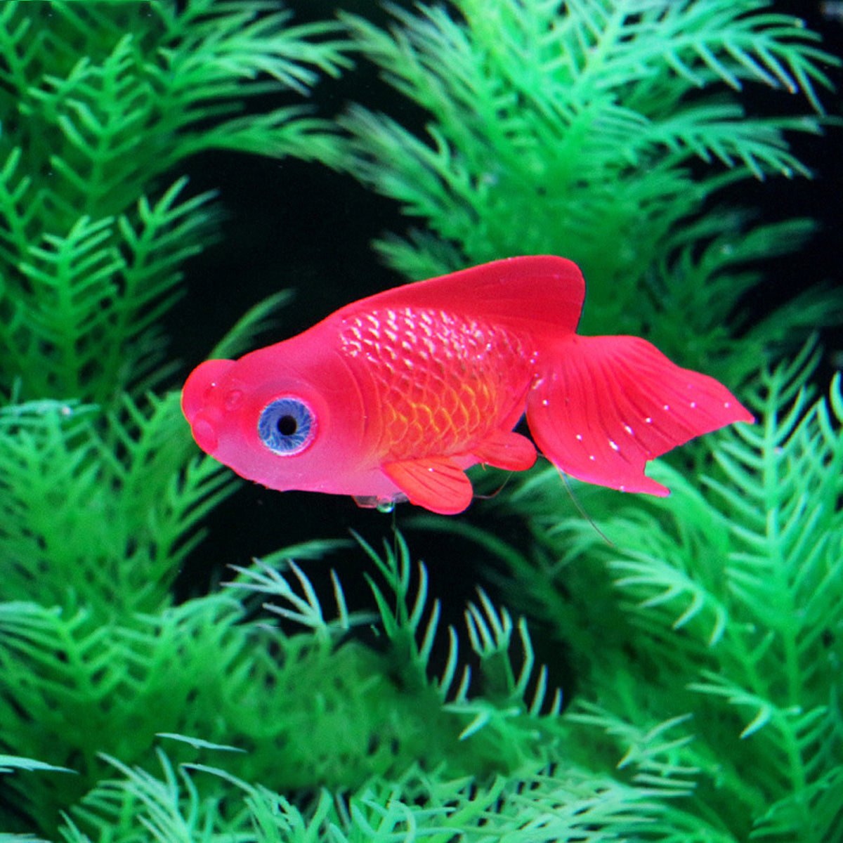 Artificial Floating Betta Fish Aquarium Decoration 2PCS