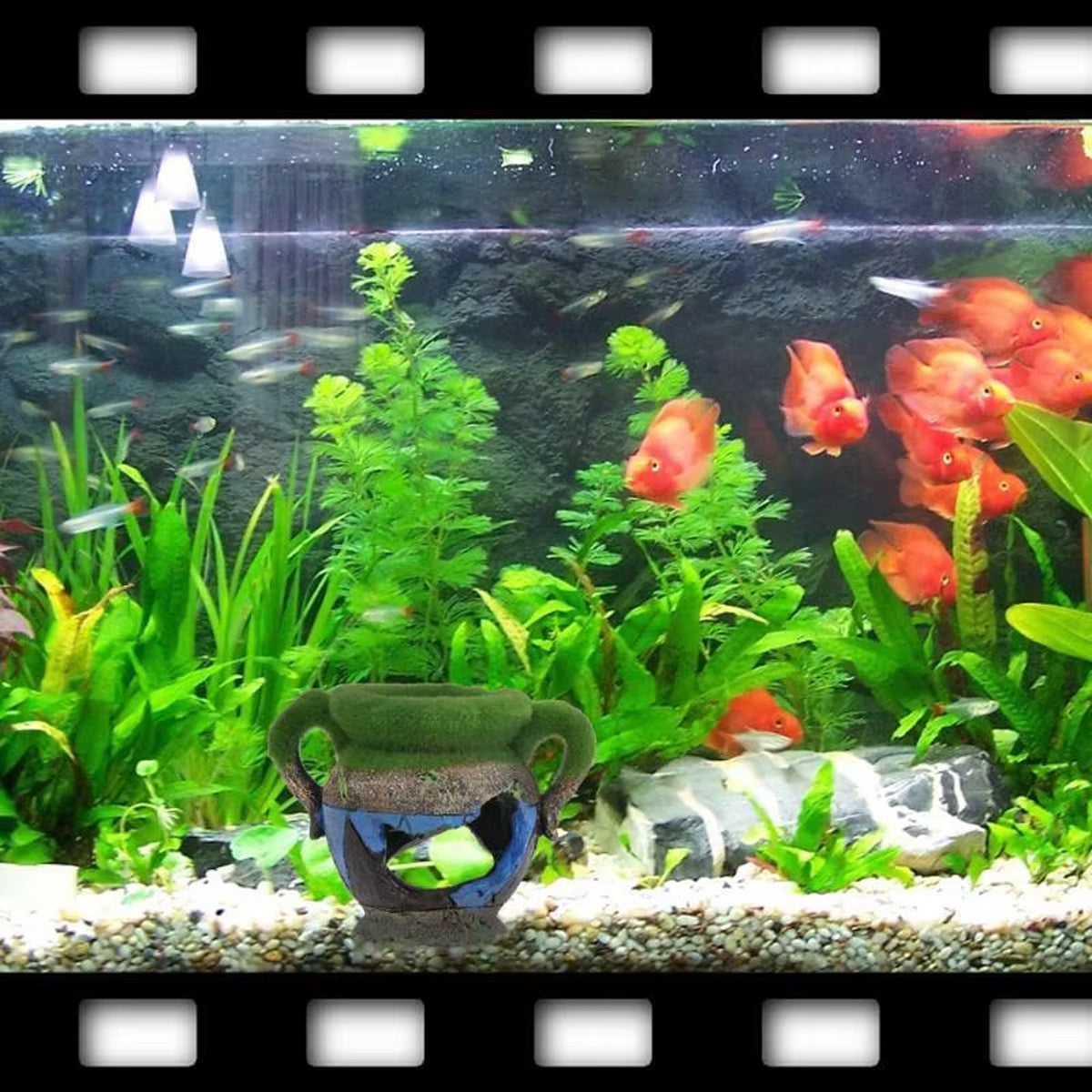 Aquarium Moss Vase Resin Fish Tank Decoration With Hiding Spot