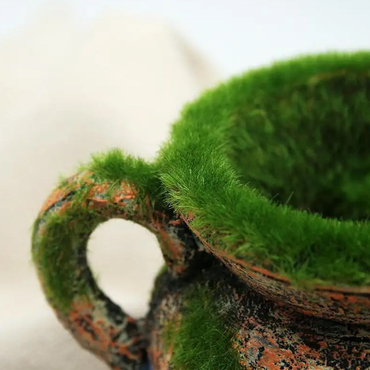 Aquarium Moss Vase Resin Fish Tank Decoration With Hiding Spot