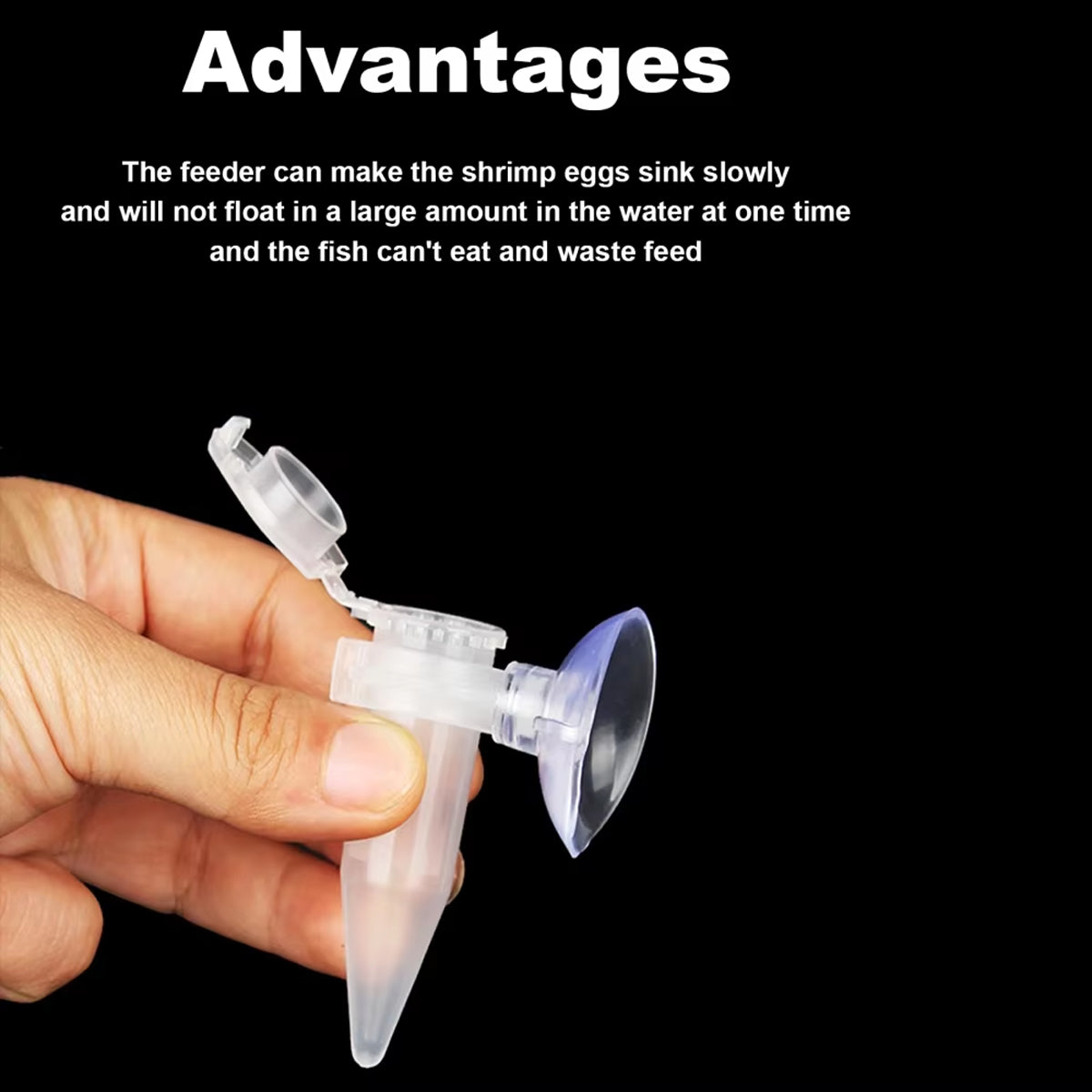 Automatic Shrimp Egg Feeder With Suction Cup (10pcs)