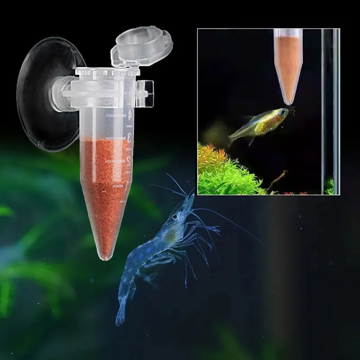 Automatic Shrimp Egg Feeder With Suction Cup (10pcs)