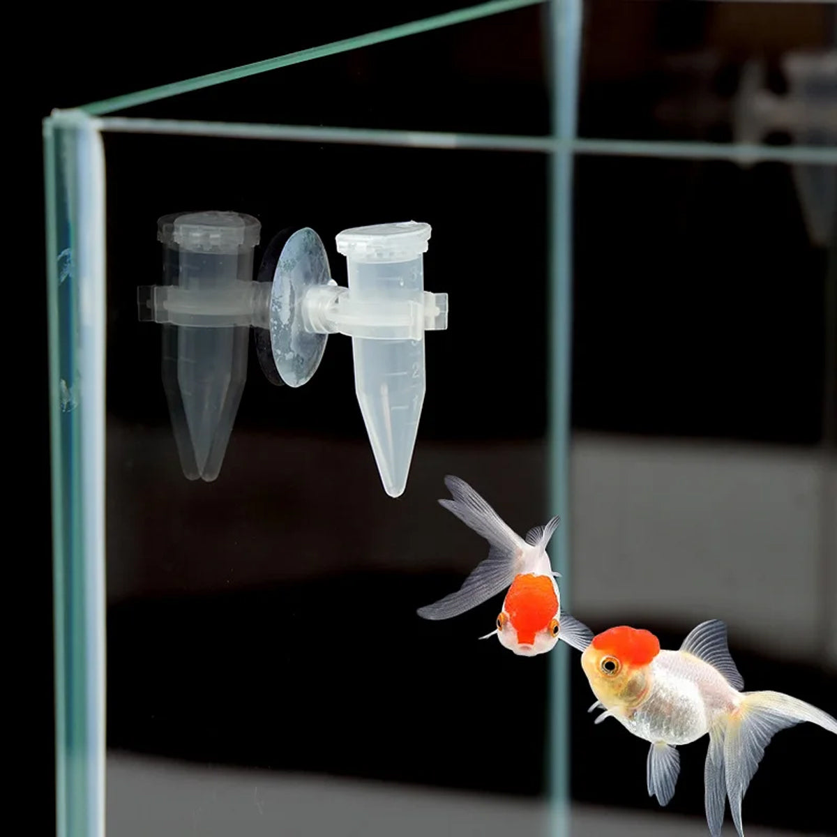 Automatic Shrimp Egg Feeder With Suction Cup (10pcs)