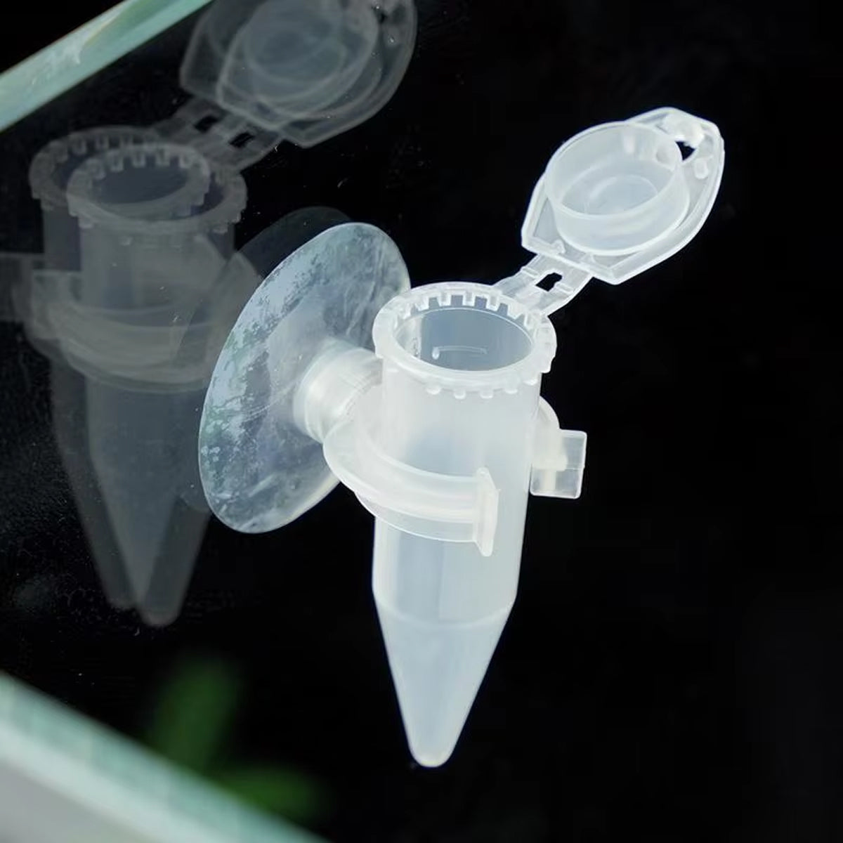 Automatic Shrimp Egg Feeder With Suction Cup (10pcs)