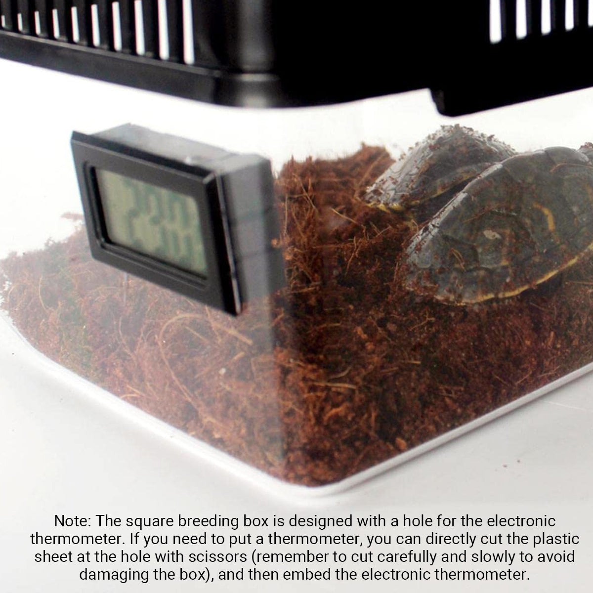 Transparent Reptile Feeding Box With Ventilated Lid