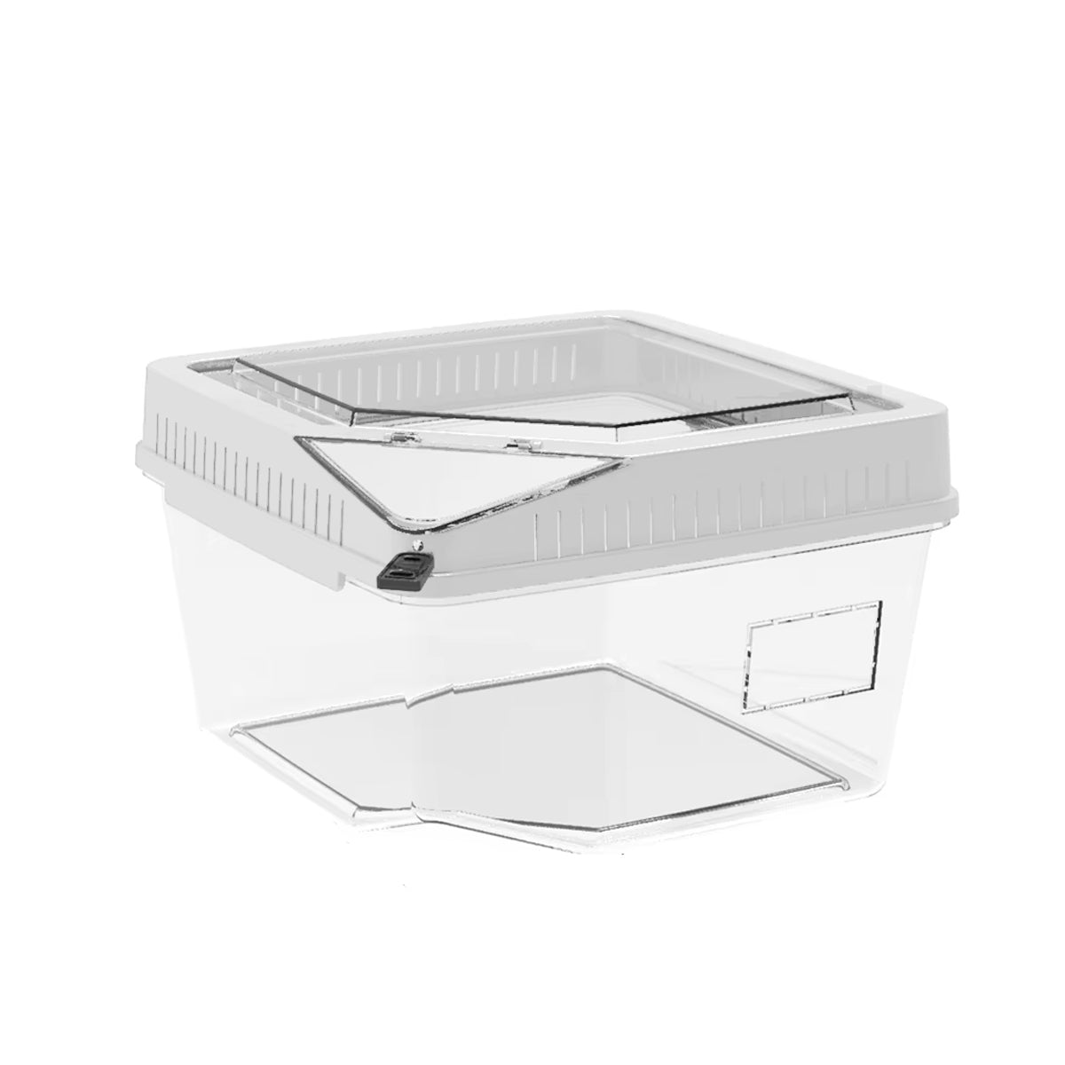 Transparent Reptile Feeding Box With Ventilated Lid