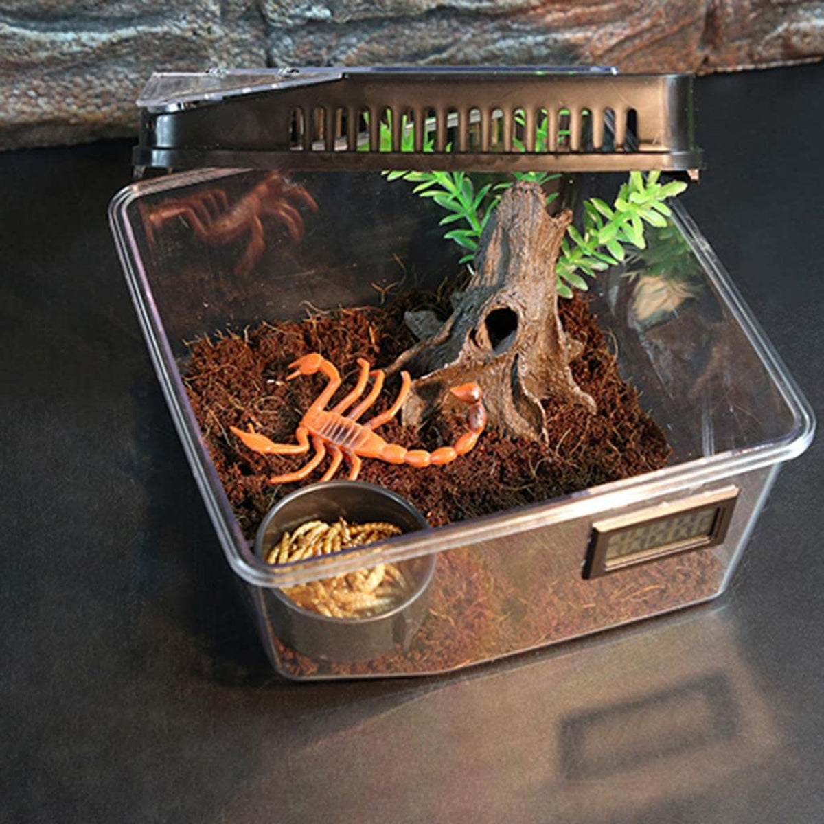 Transparent Reptile Feeding Box With Ventilated Lid