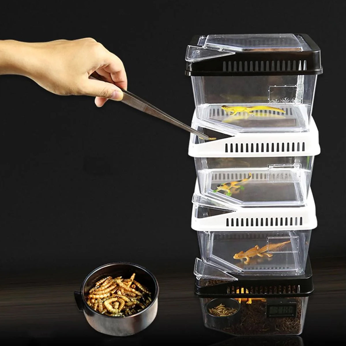 Transparent Reptile Feeding Box With Ventilated Lid