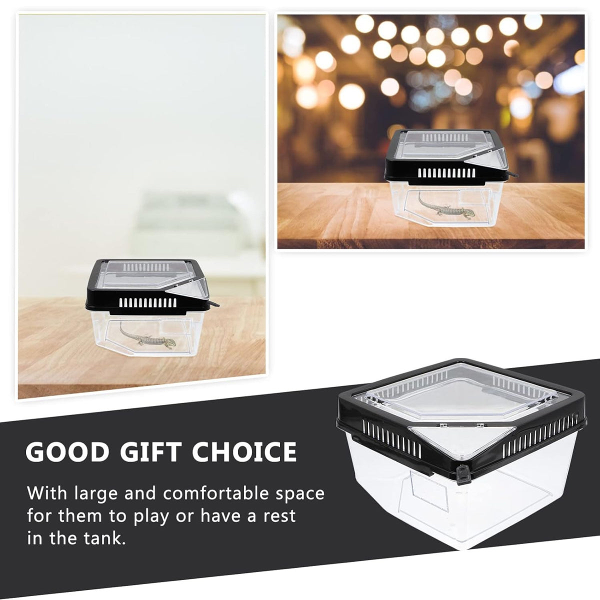 Transparent Reptile Feeding Box With Ventilated Lid