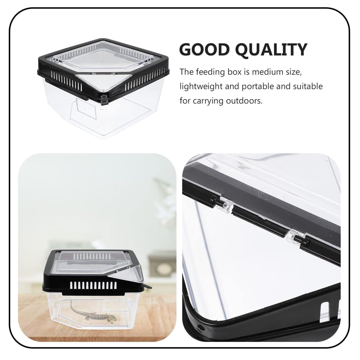 Transparent Reptile Feeding Box With Ventilated Lid