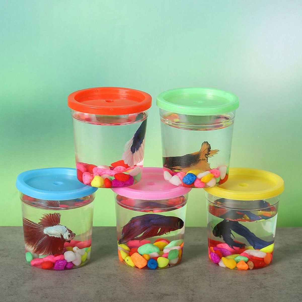 20PCS Mini Fish Cups with Lids Portable Clear Containers