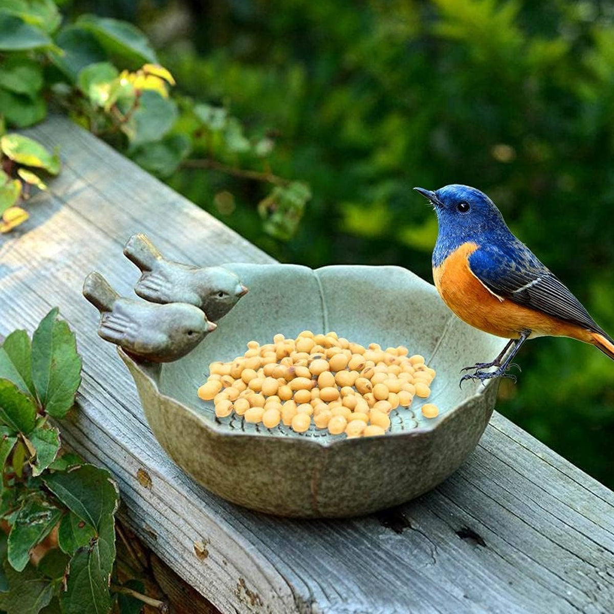 Ceramic Bird Bowl For Outdoor Feeding And Watering