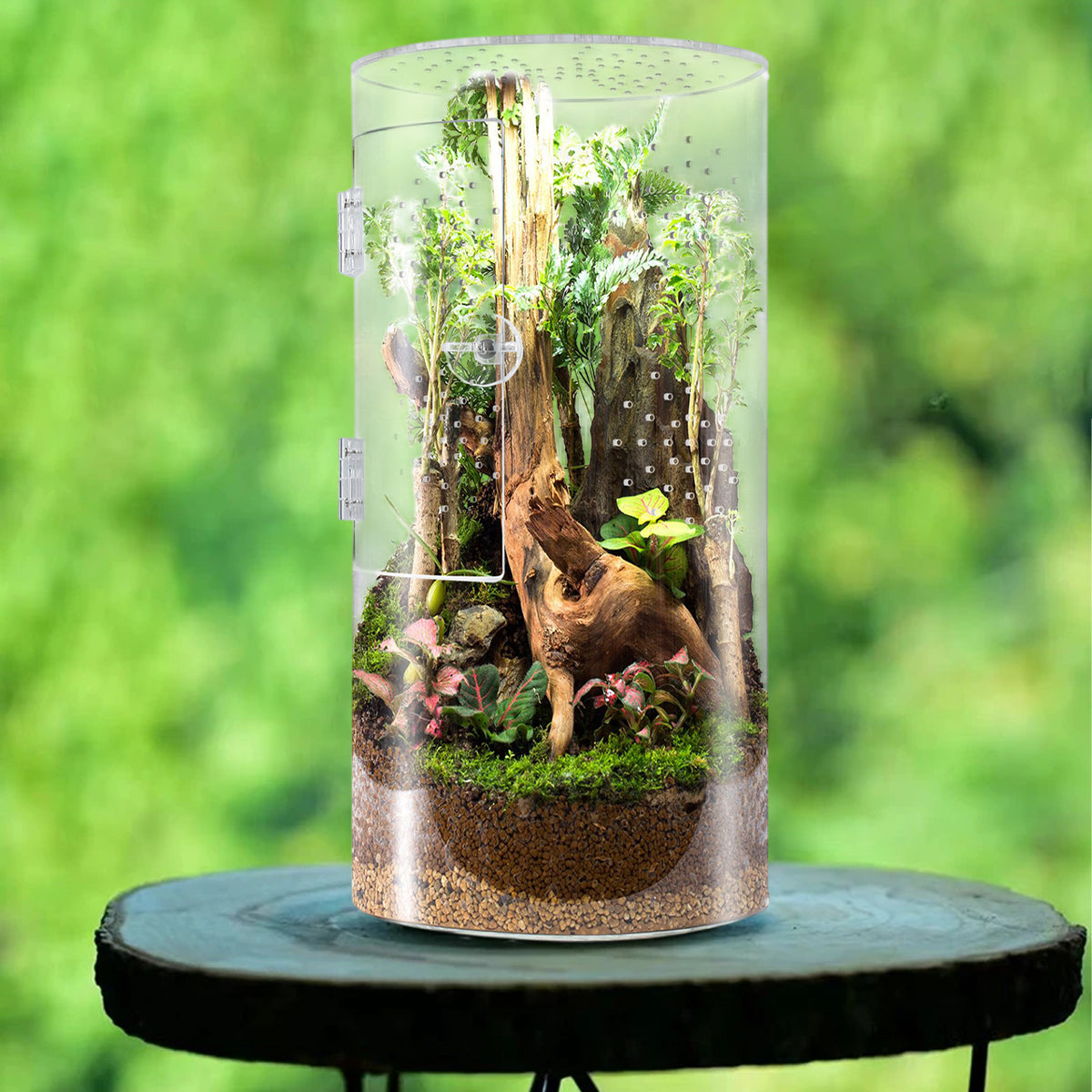 Cylindrical Acrylic Pet Breeding Box