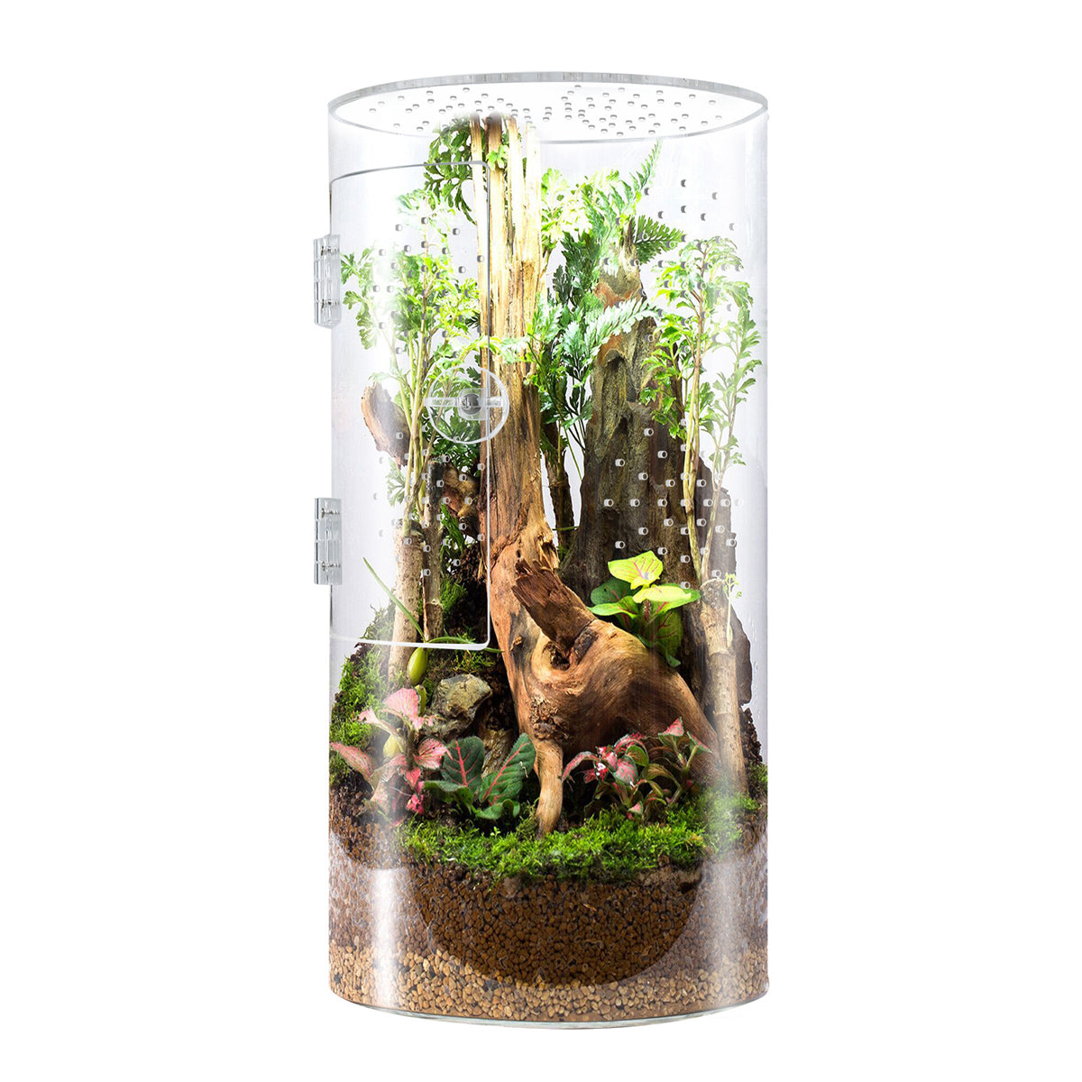 Cylindrical Acrylic Pet Breeding Box