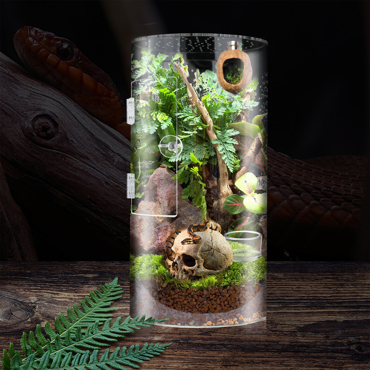 Cylindrical Acrylic Pet Breeding Box