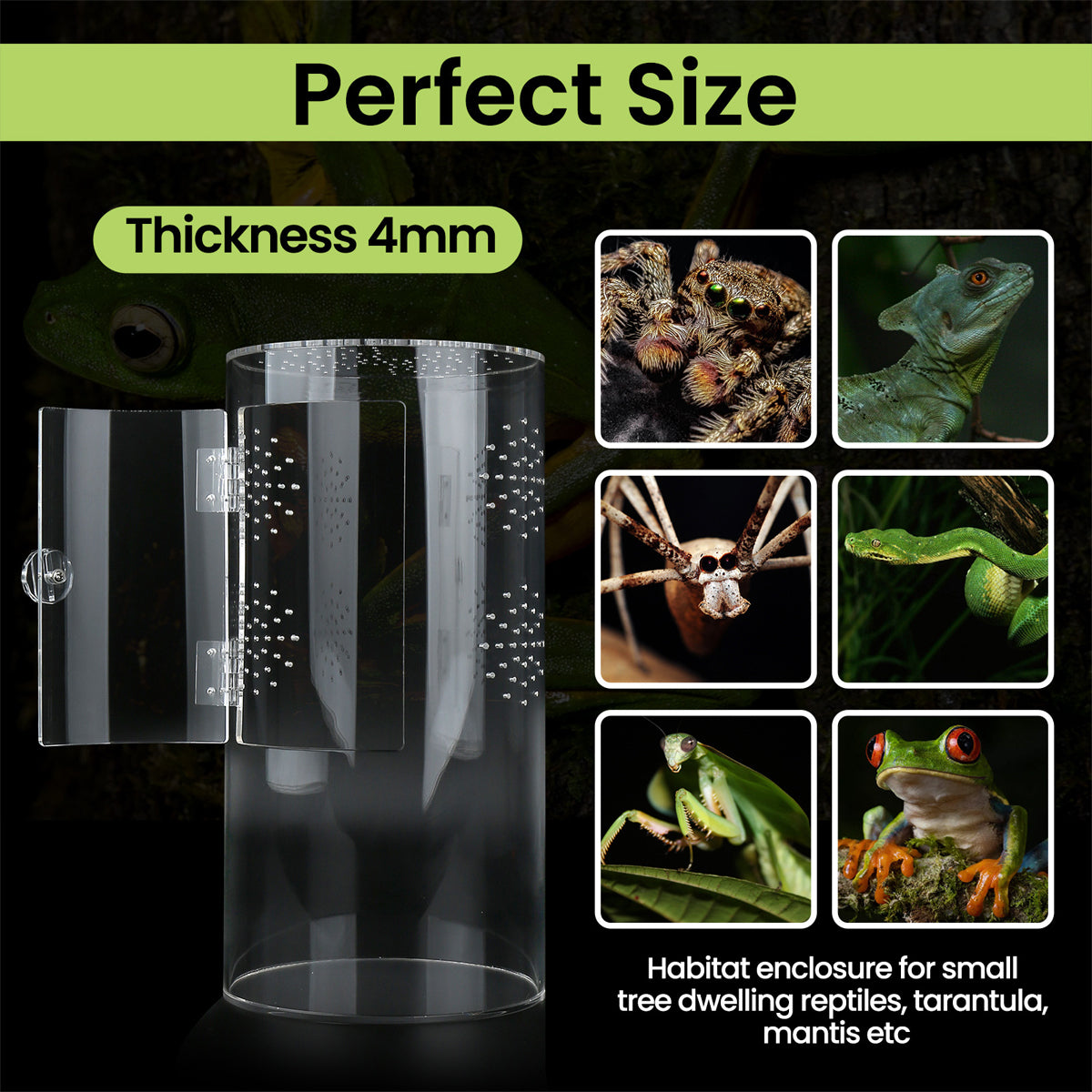 Cylindrical Acrylic Pet Breeding Box