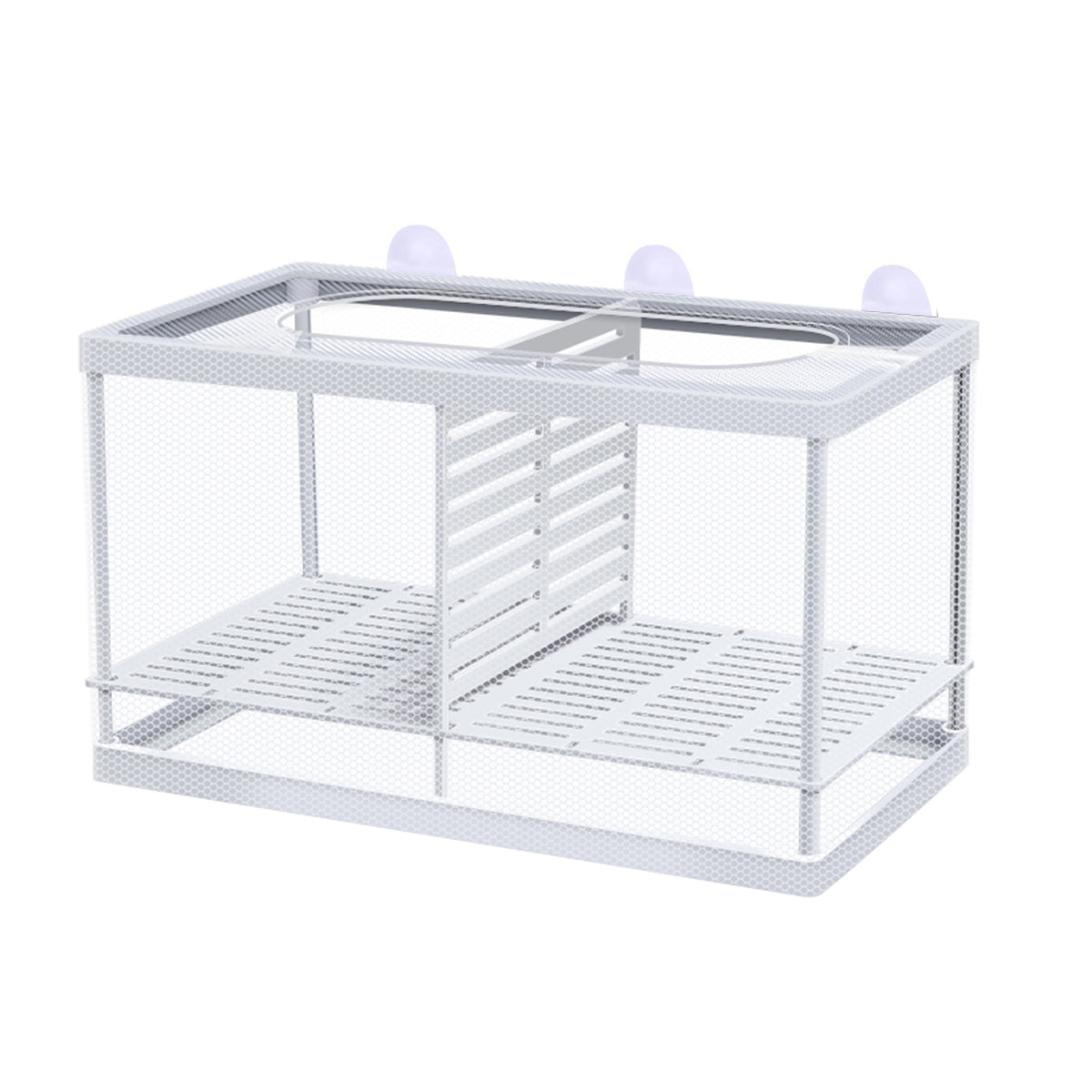 Guppy Fry Breeding Box Fish Tank Isolation Box with Mesh Divider