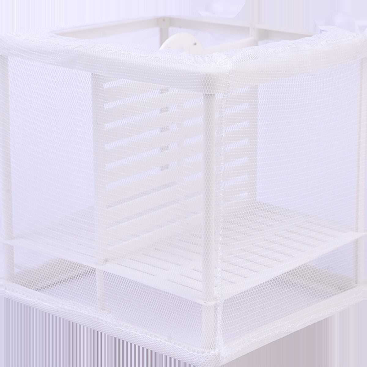 Guppy Fry Breeding Box Fish Tank Isolation Box with Mesh Divider