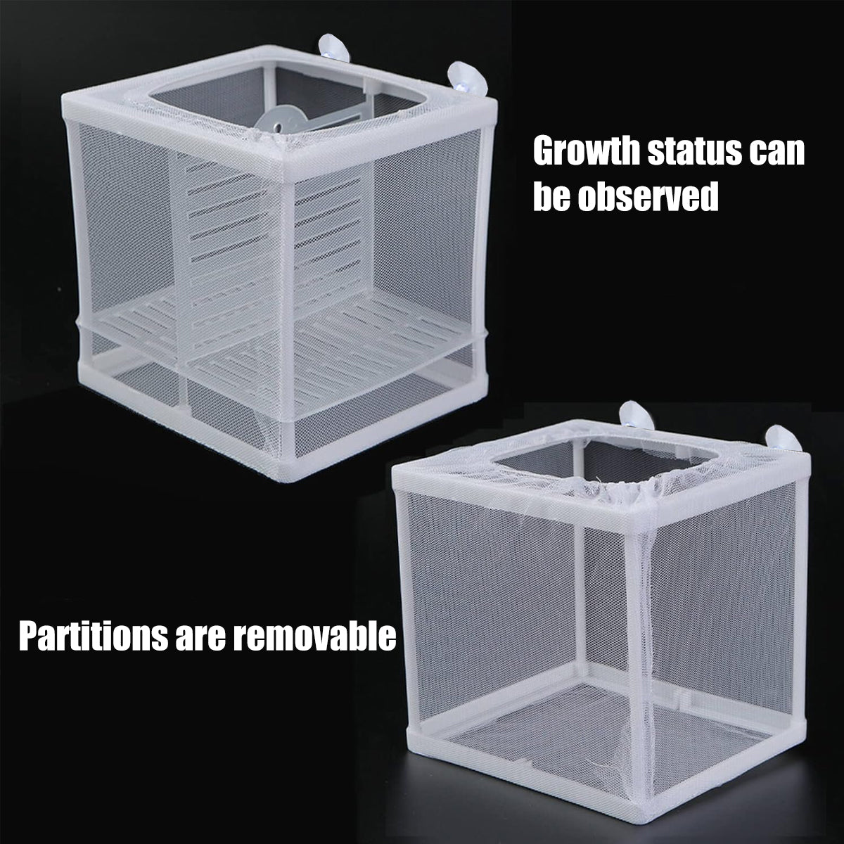 Guppy Fry Breeding Box Fish Tank Isolation Box with Mesh Divider