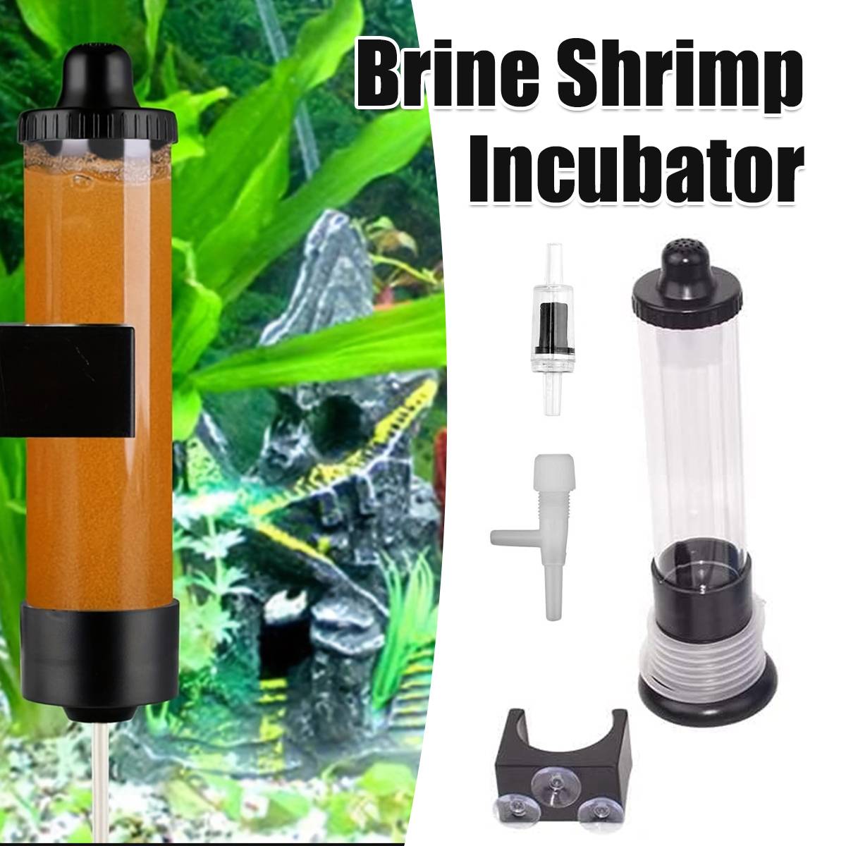 Brine Shrimp Hatchery Incubator For Aquarium