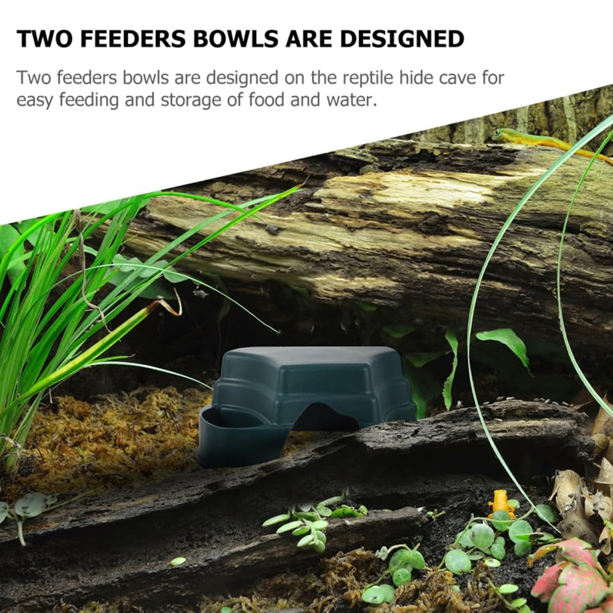 Multi-functional Reptile Cave Shelter with Feeding Basin
