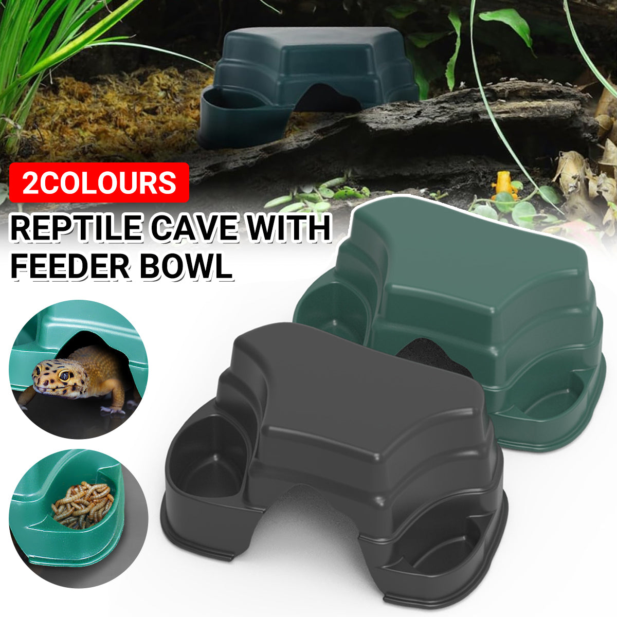 Multi-functional Reptile Cave Shelter with Feeding Basin