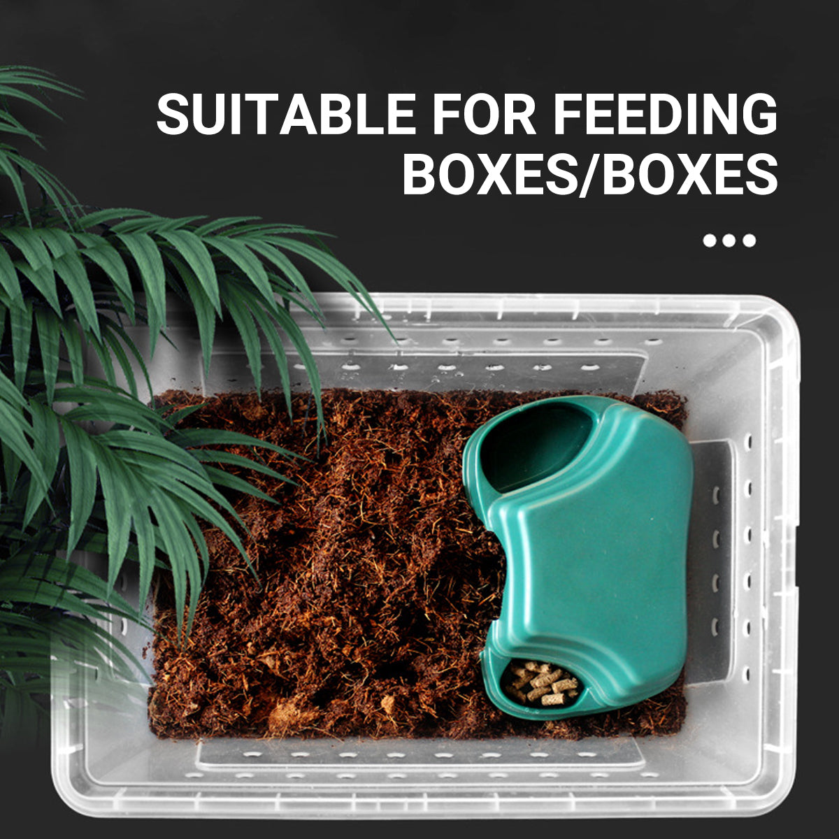 Multi-functional Reptile Cave Shelter with Feeding Basin