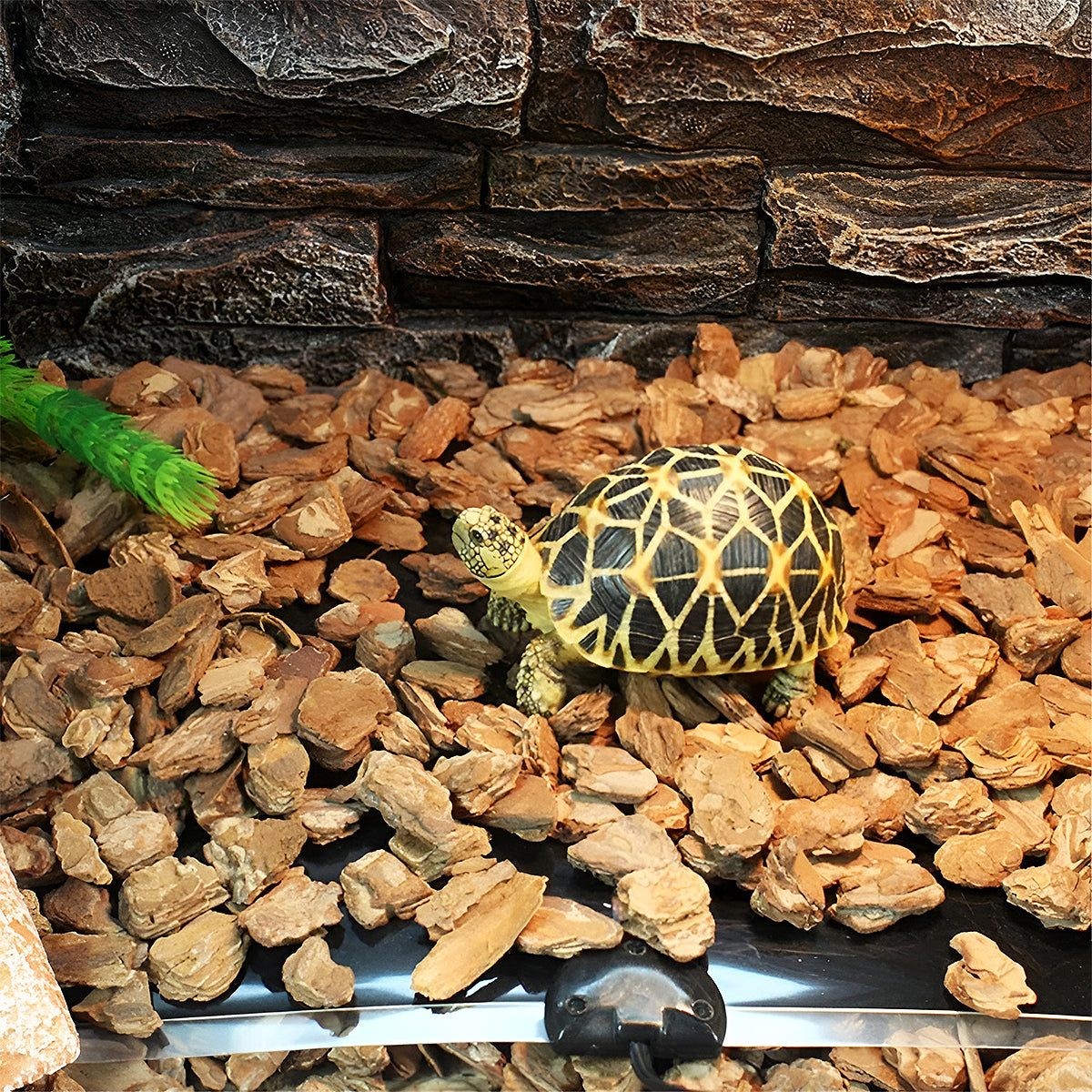 Reptile Heating Pad with Adjustable Temperature and Waterproof Design