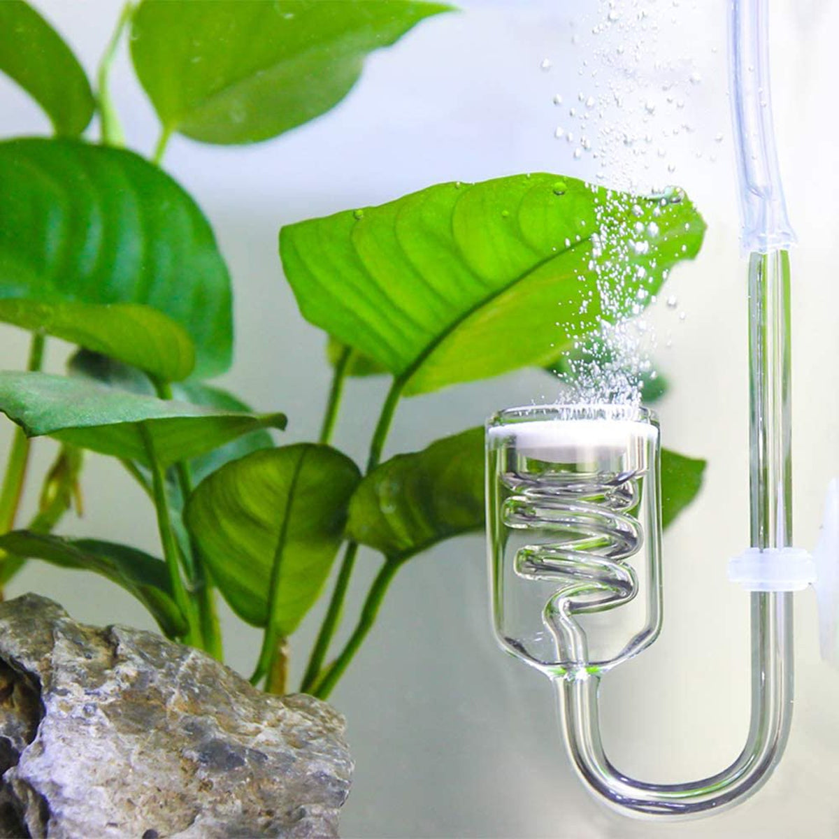 Aquarium CO2 Diffuser Glass Spiral Atomizer
